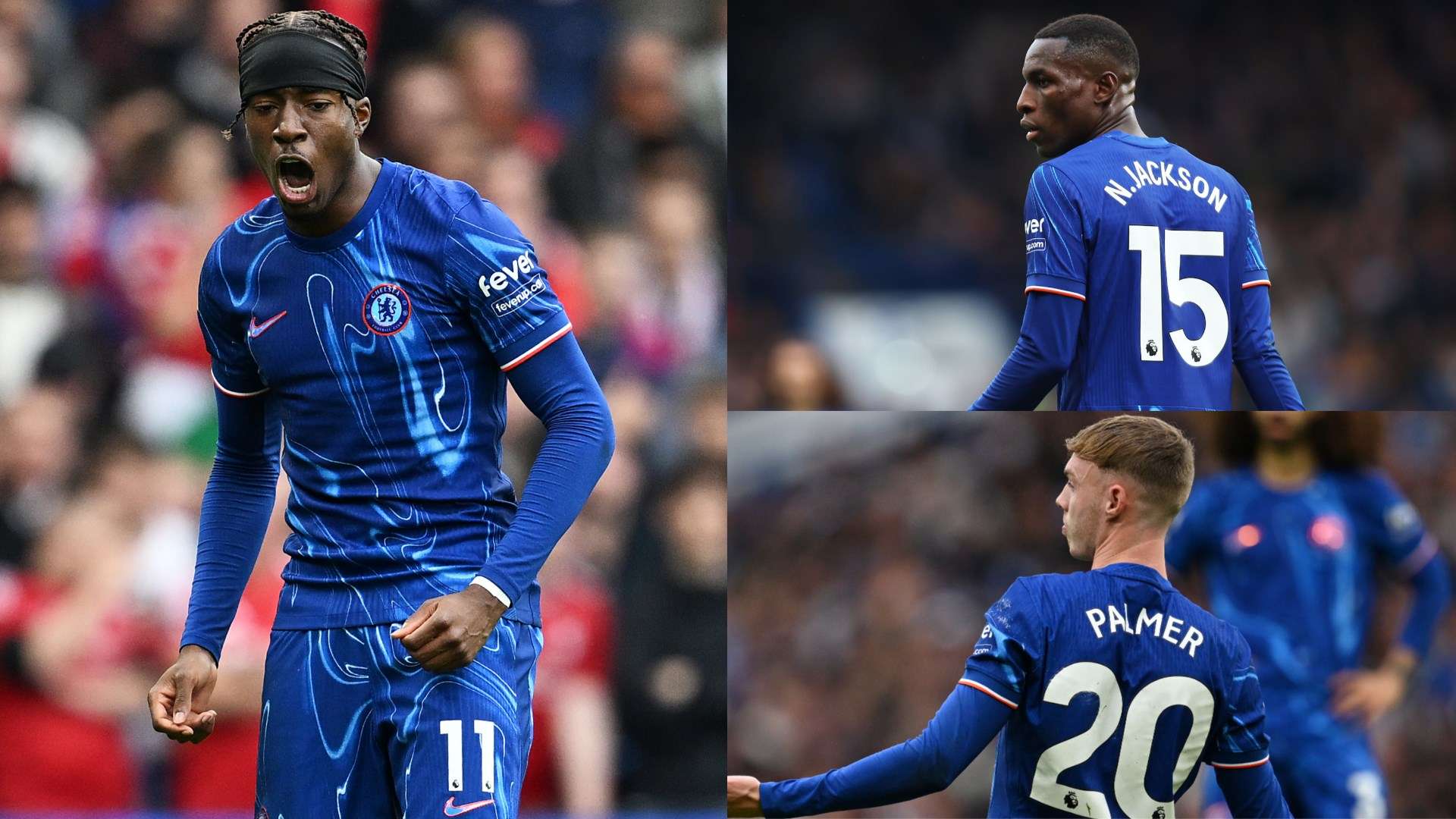 B罗的职业 B罗的职业